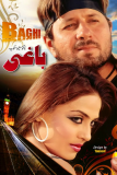 Baghi Film Hits - 2012