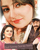 Gul Soray Soray Kam Film Hits - 2011