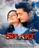 Shart Hits - 2013